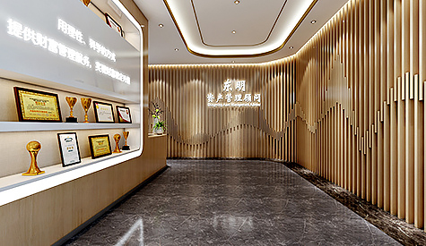 昭通东明资产治理有限公司