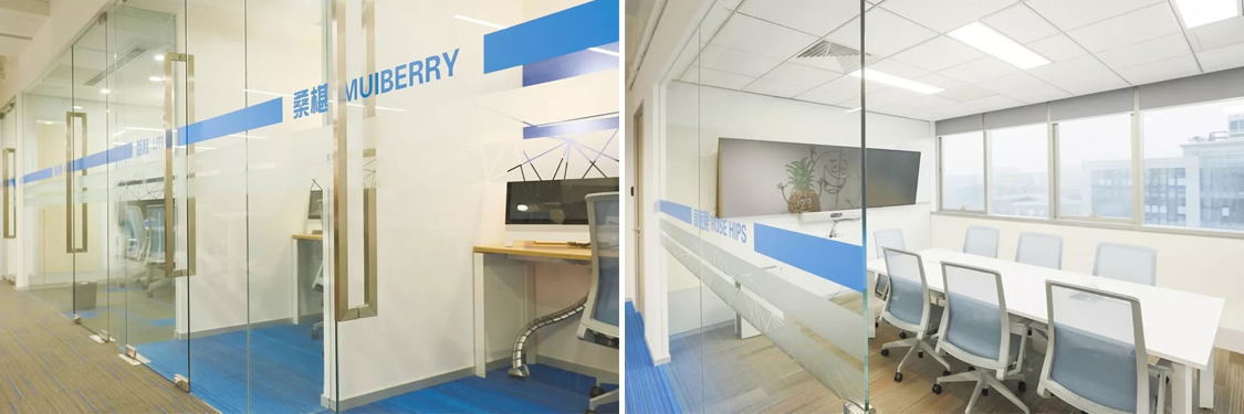 办公室装建设计