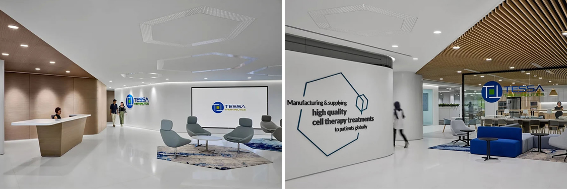 昭通钱柜qg777官方网站装璜设计公司图册