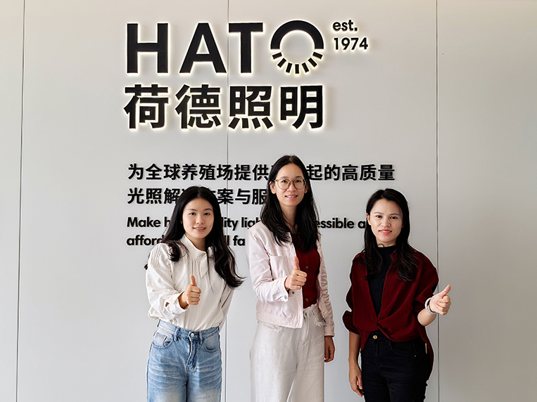 昭通装建设计公司