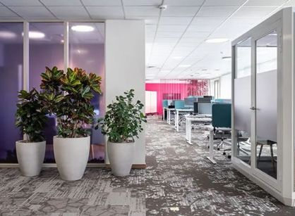 关注员工感触的办公装建设计空间是怎么的——Bayer拜耳